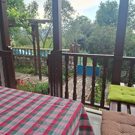 Ikiz Ula
